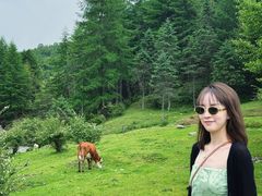 -硗碛藏寨·神木垒景区