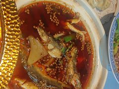 -樽宴酒楼·地道川菜·品质聚会·生日宴请