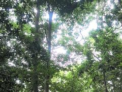 -高榜山景区