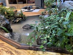 -森味薪火烧•烧鸟居酒屋•日本料理(望京店)