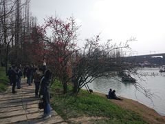 -秀丽东方