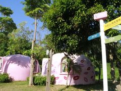 -漳州滨海火山岛自然生态风景区