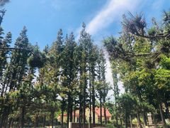 -青岛第三海水浴场