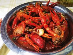 -虾皇(龙虾城旗舰店)