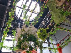 -聚缘·湘味音乐餐厅party(罗湖店)