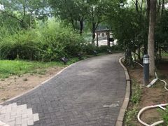 -大兴滨河森林公园