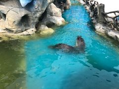 -华夏文旅西安度假区