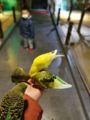 -酷嗒动物文化乐园(cutezoo西溪乐天城店)