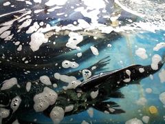 20120224_181115-秀水人家