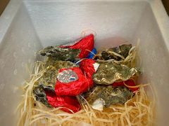 法国生蚝-斯普汇生蚝牛排馆(中骏世界城店)