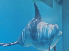 -小海豚•老字号海鲜餐厅(天涯店)