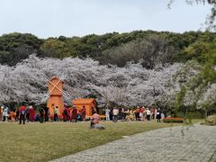 -苏州上方山国家森林公园