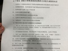 -瑞派名望志远动物医院·猫科·內科·异宠专科(直港大道店)