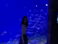-哈尔滨波塞冬海底世界