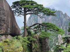 -黄山风景区