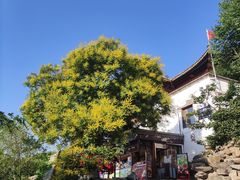 -香山公园