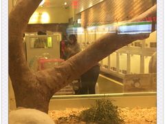 -龙猫仔乐园(惠福东路店)