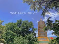 -八大处公园