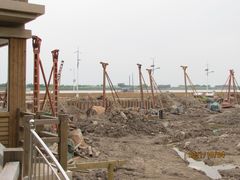 -大湾区中央湿地公园