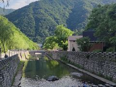 -牛背梁国家森林公园