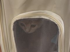 -中农国际动物医院24小时·猫科·骨科·急重症中心