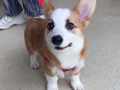 -萌兽医馆·宠物医院·猫骨科(创景店)