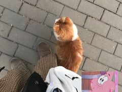 -天津现代职业技术学院