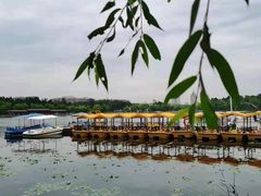 -长春市南湖公园