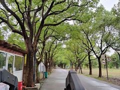 -昆山城市生态森林公园