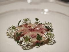 -Oyster Talks 四度蚝法餐厅