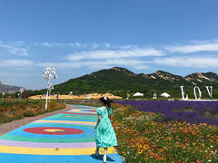 -西海岸生态观光园