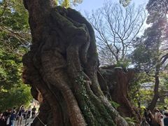 -来宫神社