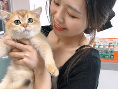 -lincat·猫舍(广州店)