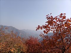 -周口店坡峰岭风景区