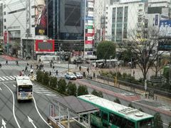 -涩谷区