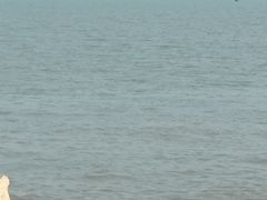 -野狸岛