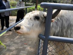 -长白岛森林公园