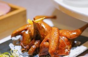 Shengfeng Baby Pigeon Royal