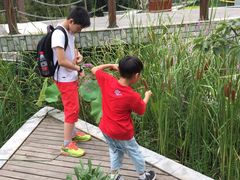 -武清南湖绿博园