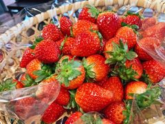 -阪急百货店(梅田总店)