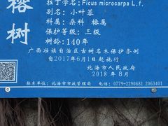 -北部湾广场