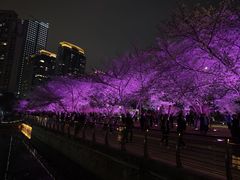 -西北湖绿化广场