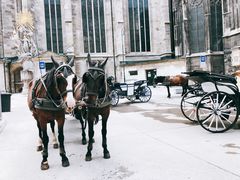 -斯蒂芬主教座堂(Stephansdom)