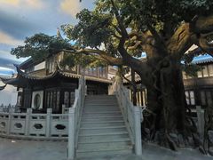 -馋遇江南·精致湖景雅宴(东方之门店)