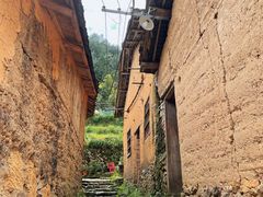 -杨家堂村