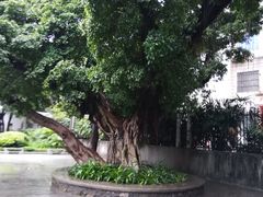 -晓港公园