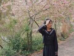 -天适樱花悠乐园