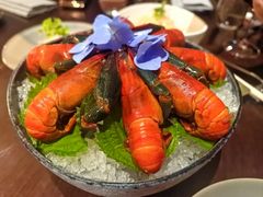 -随堂里