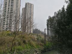 -苏州河梦清园环保主题公园