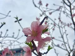 -青岛市图书馆